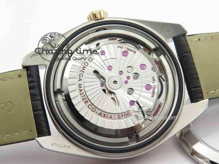 0202 2017 Aqua Terra SS RG XF Best Edition White Textured Dial On Black Leather Strap A Functional 8157